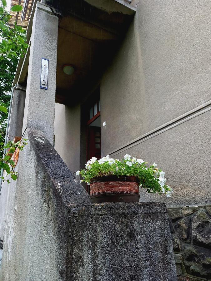 Vila Kotlarska Decin Extérieur photo